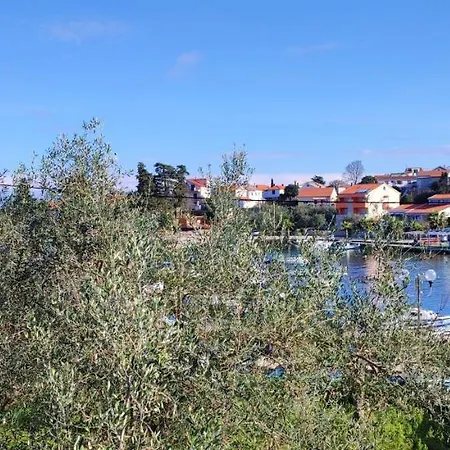 Apartament Sandy *